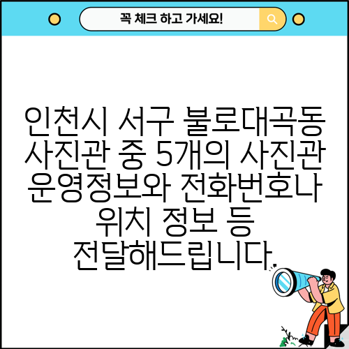 인천시 서구 불로대곡동 사진관 중 5개의 사진관 운영정보와 전화번호나 위치 정보 등 전달해드립니다.