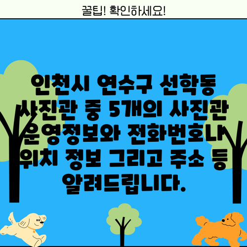 인천시 연수구 선학동 사진관 중 5개의 사진관 운영정보와 전화번호나 위치 정보 그리고 주소 등 알려드립니다.