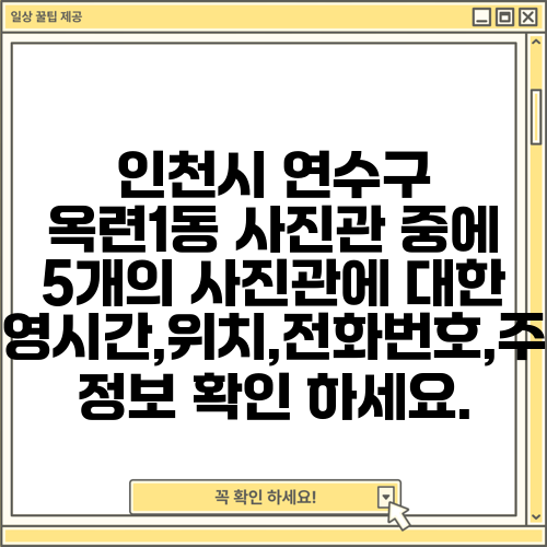 인천시 연수구 옥련1동 사진관 중에 5개의 사진관에 대한 운영시간,위치,전화번호,주소 정보 확인 하세요.