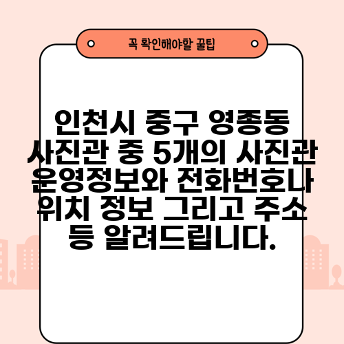 인천시 중구 영종동 사진관 중 5개의 사진관 운영정보와 전화번호나 위치 정보 그리고 주소 등 알려드립니다.