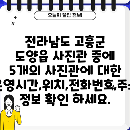 전라남도 고흥군 도양읍 사진관 중에 5개의 사진관에 대한 운영시간,위치,전화번호,주소 정보 확인 하세요.