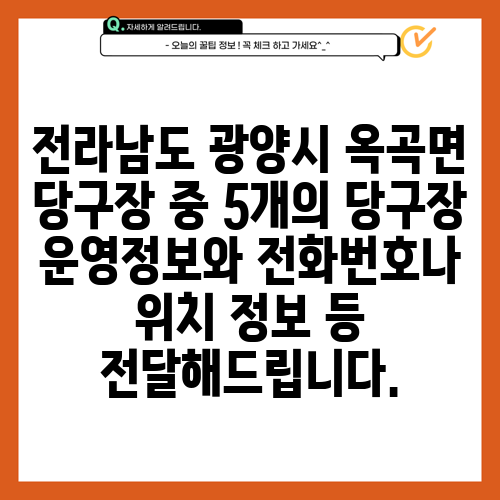 전라남도 광양시 옥곡면 당구장 중 5개의 당구장 운영정보와 전화번호나 위치 정보 등 전달해드립니다.