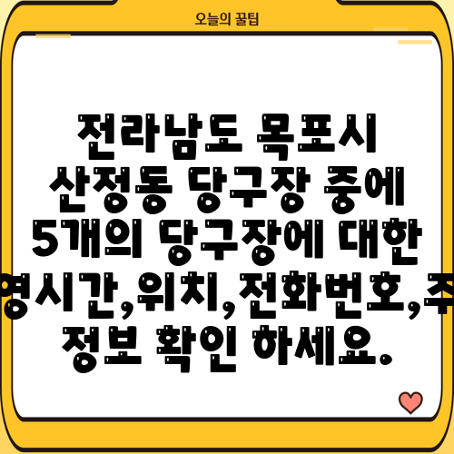 전라남도 목포시 산정동 당구장 중에 5개의 당구장에 대한 운영시간,위치,전화번호,주소 정보 확인 하세요.