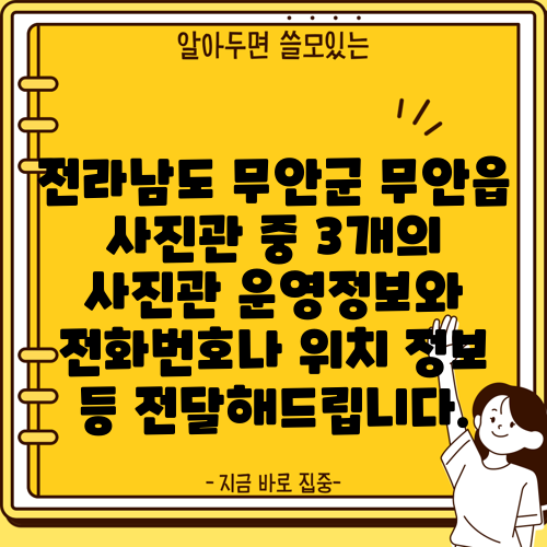 전라남도 무안군 무안읍 사진관 중 3개의 사진관 운영정보와 전화번호나 위치 정보 등 전달해드립니다.