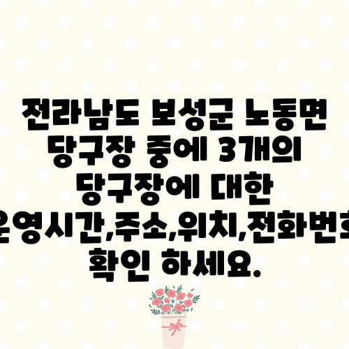 전라남도 보성군 노동면 당구장 중에 3개의 당구장에 대한 운영시간,주소,위치,전화번호 확인 하세요.