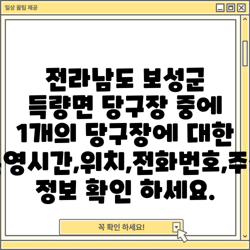 전라남도 보성군 득량면 당구장 중에 1개의 당구장에 대한 운영시간,위치,전화번호,주소 정보 확인 하세요.