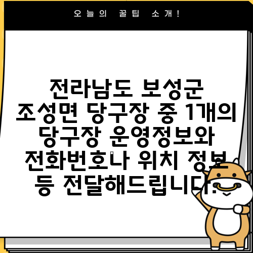 전라남도 보성군 조성면 당구장 중 1개의 당구장 운영정보와 전화번호나 위치 정보 등 전달해드립니다.