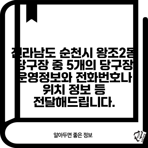 전라남도 순천시 왕조2동 당구장 중 5개의 당구장 운영정보와 전화번호나 위치 정보 등 전달해드립니다.
