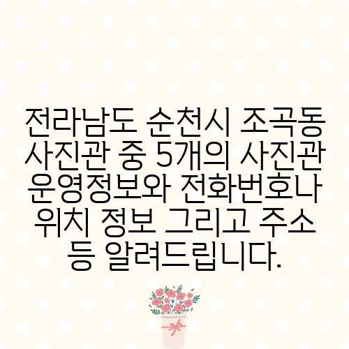 전라남도 순천시 조곡동 사진관 중 5개의 사진관 운영정보와 전화번호나 위치 정보 그리고 주소 등 알려드립니다.