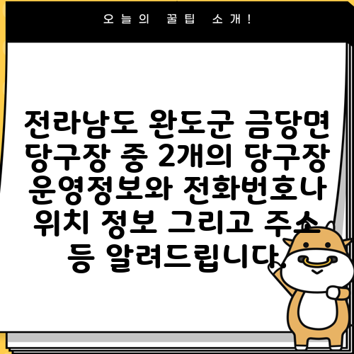 전라남도 완도군 금당면 당구장 중 2개의 당구장 운영정보와 전화번호나 위치 정보 그리고 주소 등 알려드립니다.