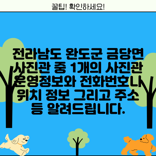 전라남도 완도군 금당면 사진관 중 1개의 사진관 운영정보와 전화번호나 위치 정보 그리고 주소 등 알려드립니다.