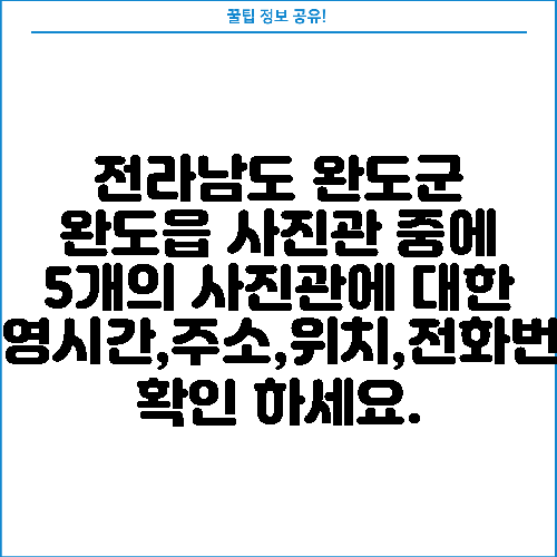 전라남도 완도군 완도읍 사진관 중에 5개의 사진관에 대한 운영시간,주소,위치,전화번호 확인 하세요.
