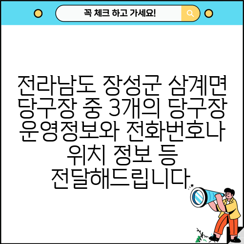 전라남도 장성군 삼계면 당구장 중 3개의 당구장 운영정보와 전화번호나 위치 정보 등 전달해드립니다.