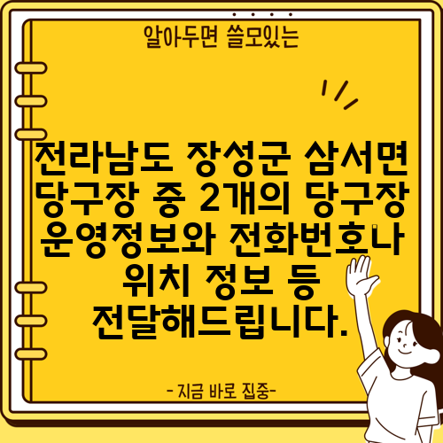 전라남도 장성군 삼서면 당구장 중 2개의 당구장 운영정보와 전화번호나 위치 정보 등 전달해드립니다.
