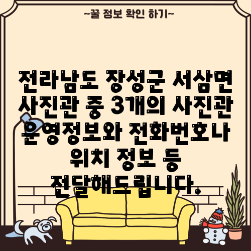 전라남도 장성군 서삼면 사진관 중 3개의 사진관 운영정보와 전화번호나 위치 정보 등 전달해드립니다.