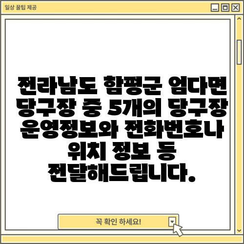 전라남도 함평군 엄다면 당구장 중 5개의 당구장 운영정보와 전화번호나 위치 정보 등 전달해드립니다.