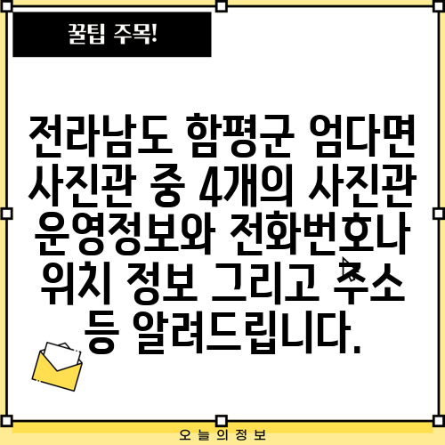 전라남도 함평군 엄다면 사진관 중 4개의 사진관 운영정보와 전화번호나 위치 정보 그리고 주소 등 알려드립니다.