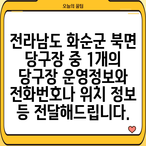 전라남도 화순군 북면 당구장 중 1개의 당구장 운영정보와 전화번호나 위치 정보 등 전달해드립니다.