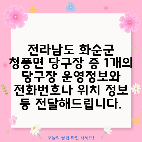 전라남도 화순군 청풍면 당구장 중 1개의 당구장 운영정보와 전화번호나 위치 정보 등 전달해드립니다.
