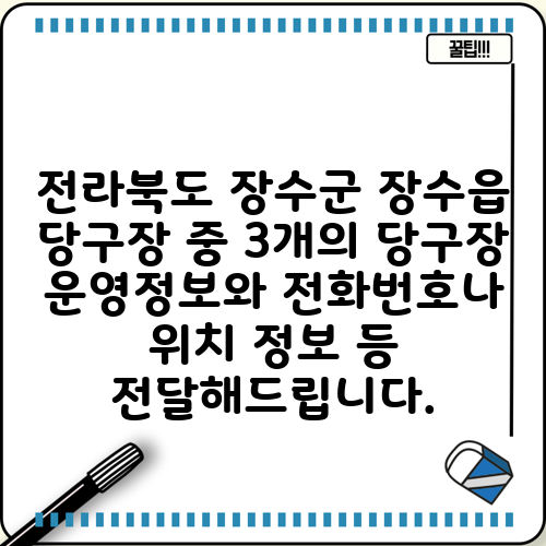 전라북도 장수군 장수읍 당구장 중 3개의 당구장 운영정보와 전화번호나 위치 정보 등 전달해드립니다.