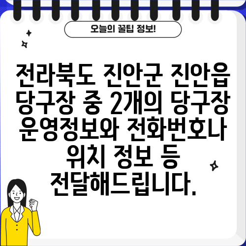 전라북도 진안군 진안읍 당구장 중 2개의 당구장 운영정보와 전화번호나 위치 정보 등 전달해드립니다.