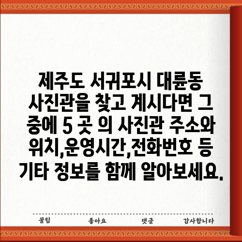 제주도 서귀포시 대륜동 사진관을 찾고 계시다면 그 중에 5 곳 의 사진관 주소와 위치,운영시간,전화번호 등 기타 정보를 함께 알아보세요.