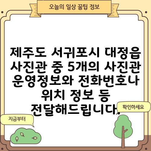 제주도 서귀포시 대정읍 사진관 중 5개의 사진관 운영정보와 전화번호나 위치 정보 등 전달해드립니다.