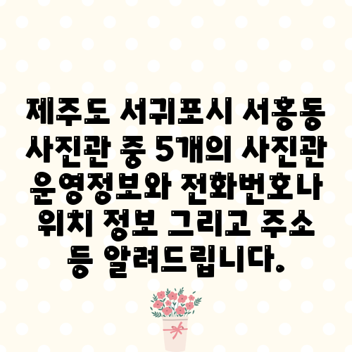 제주도 서귀포시 서홍동 사진관 중 5개의 사진관 운영정보와 전화번호나 위치 정보 그리고 주소 등 알려드립니다.