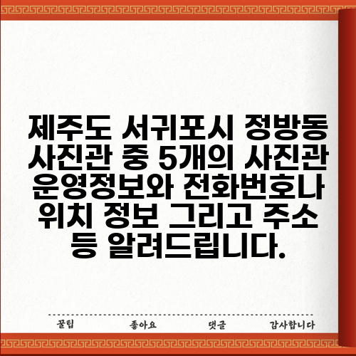 제주도 서귀포시 정방동 사진관 중 5개의 사진관 운영정보와 전화번호나 위치 정보 그리고 주소 등 알려드립니다.