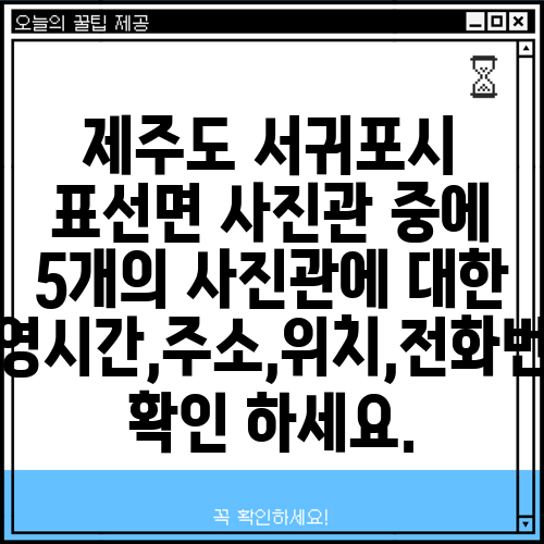 제주도 서귀포시 표선면 사진관 중에 5개의 사진관에 대한 운영시간,주소,위치,전화번호 확인 하세요.