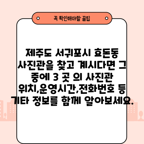 제주도 서귀포시 효돈동 사진관을 찾고 계시다면 그 중에 3 곳 의 사진관 위치,운영시간,전화번호 등 기타 정보를 함께 알아보세요.