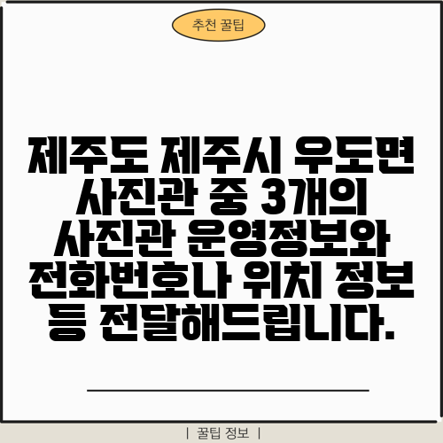제주도 제주시 우도면 사진관 중 3개의 사진관 운영정보와 전화번호나 위치 정보 등 전달해드립니다.