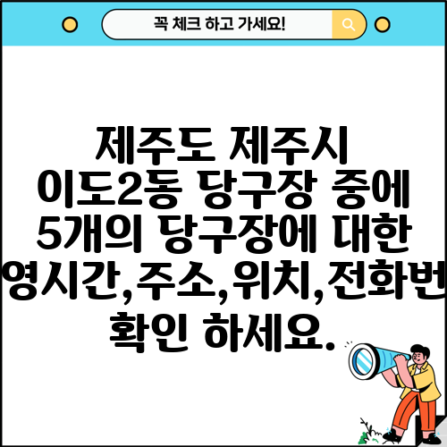 제주도 제주시 이도2동 당구장 중에 5개의 당구장에 대한 운영시간,주소,위치,전화번호 확인 하세요.