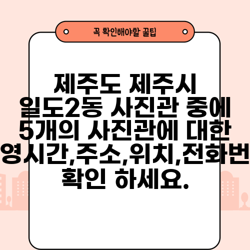 제주도 제주시 일도2동 사진관 중에 5개의 사진관에 대한 운영시간,주소,위치,전화번호 확인 하세요.