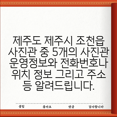 제주도 제주시 조천읍 사진관 중 5개의 사진관 운영정보와 전화번호나 위치 정보 그리고 주소 등 알려드립니다.