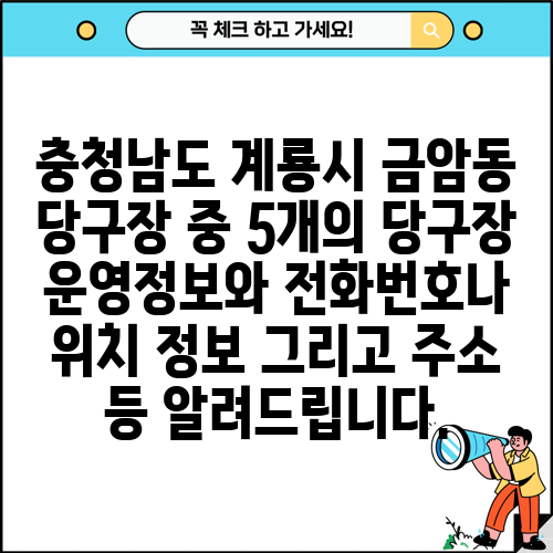충청남도 계룡시 금암동 당구장 중 5개의 당구장 운영정보와 전화번호나 위치 정보 그리고 주소 등 알려드립니다.