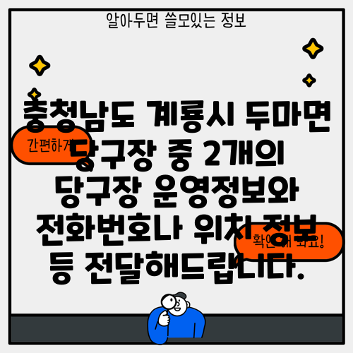 충청남도 계룡시 두마면 당구장 중 2개의 당구장 운영정보와 전화번호나 위치 정보 등 전달해드립니다.