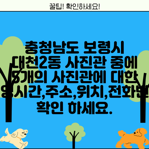 충청남도 보령시 대천2동 사진관 중에 5개의 사진관에 대한 운영시간,주소,위치,전화번호 확인 하세요.