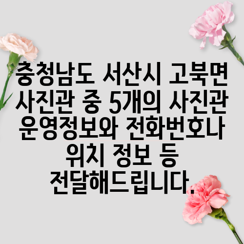 충청남도 서산시 고북면 사진관 중 5개의 사진관 운영정보와 전화번호나 위치 정보 등 전달해드립니다.