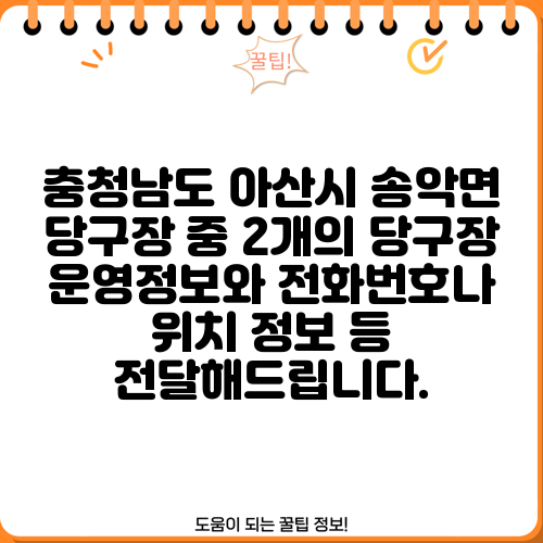 충청남도 아산시 송악면 당구장 중 2개의 당구장 운영정보와 전화번호나 위치 정보 등 전달해드립니다.