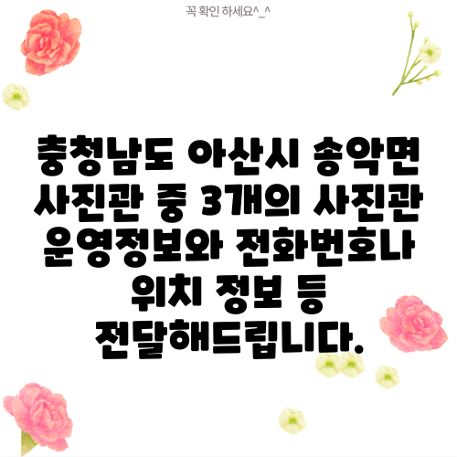 충청남도 아산시 송악면 사진관 중 3개의 사진관 운영정보와 전화번호나 위치 정보 등 전달해드립니다.