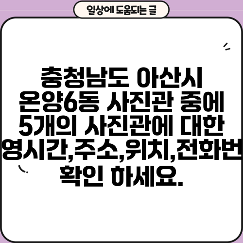 충청남도 아산시 온양6동 사진관 중에 5개의 사진관에 대한 운영시간,주소,위치,전화번호 확인 하세요.