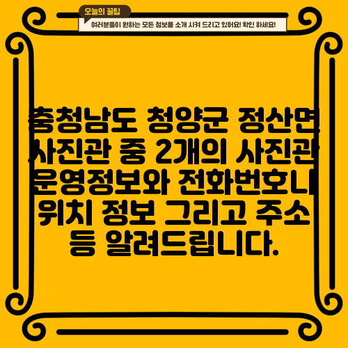 충청남도 청양군 정산면 사진관 중 2개의 사진관 운영정보와 전화번호나 위치 정보 그리고 주소 등 알려드립니다.