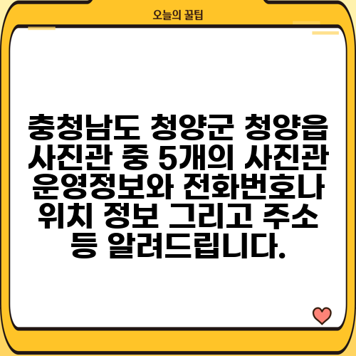 충청남도 청양군 청양읍 사진관 중 5개의 사진관 운영정보와 전화번호나 위치 정보 그리고 주소 등 알려드립니다.