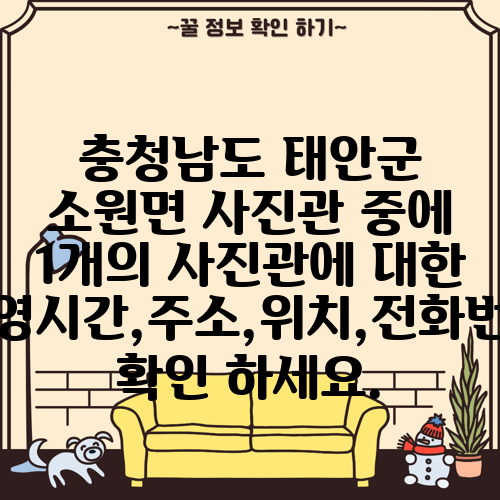 충청남도 태안군 소원면 사진관 중에 1개의 사진관에 대한 운영시간,주소,위치,전화번호 확인 하세요.