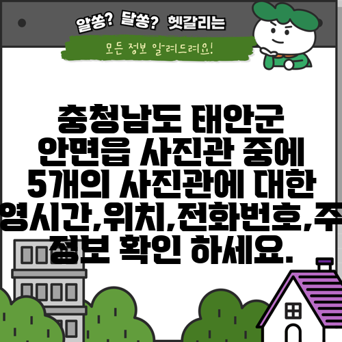 충청남도 태안군 안면읍 사진관 중에 5개의 사진관에 대한 운영시간,위치,전화번호,주소 정보 확인 하세요.