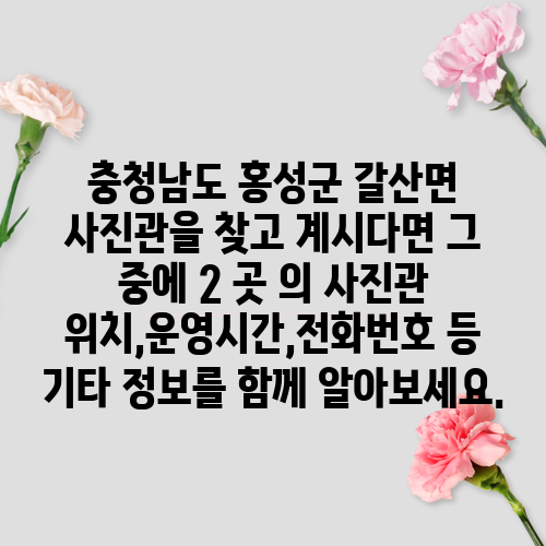 충청남도 홍성군 갈산면 사진관을 찾고 계시다면 그 중에 2 곳 의 사진관 위치,운영시간,전화번호 등 기타 정보를 함께 알아보세요.