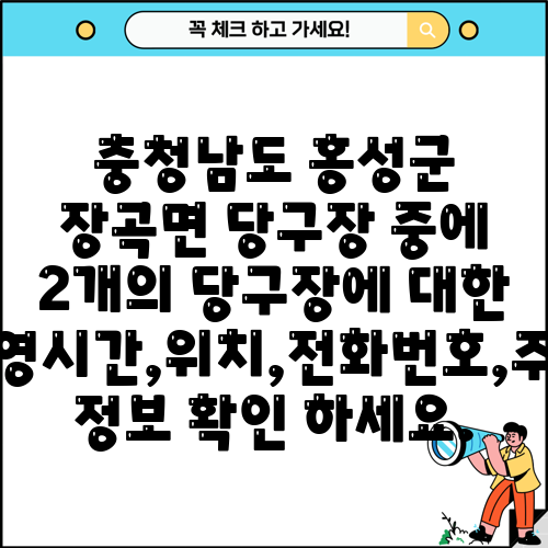 충청남도 홍성군 장곡면 당구장 중에 2개의 당구장에 대한 운영시간,위치,전화번호,주소 정보 확인 하세요.