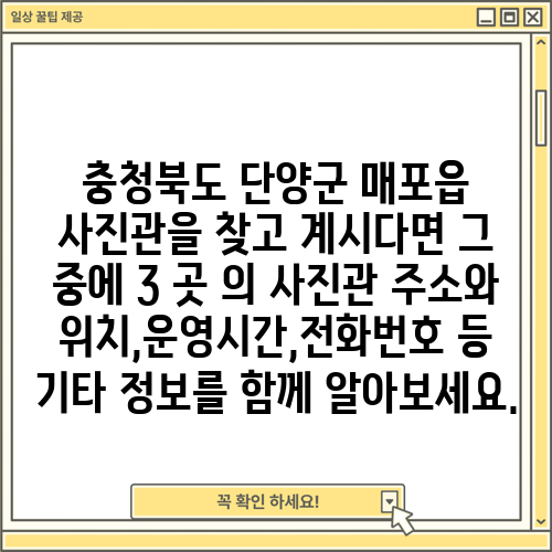 충청북도 단양군 매포읍 사진관을 찾고 계시다면 그 중에 3 곳 의 사진관 주소와 위치,운영시간,전화번호 등 기타 정보를 함께 알아보세요.