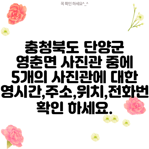충청북도 단양군 영춘면 사진관 중에 5개의 사진관에 대한 운영시간,주소,위치,전화번호 확인 하세요.